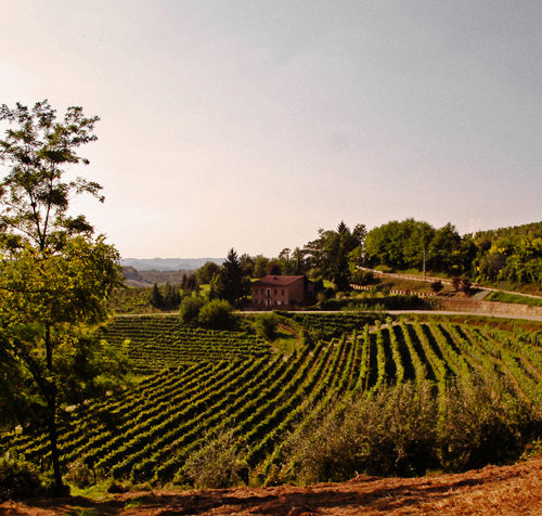 La Cantina di Antignano