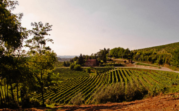 La Cantina di Antignano